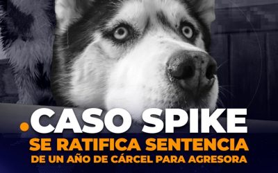 Entrevista TC Caso Spike